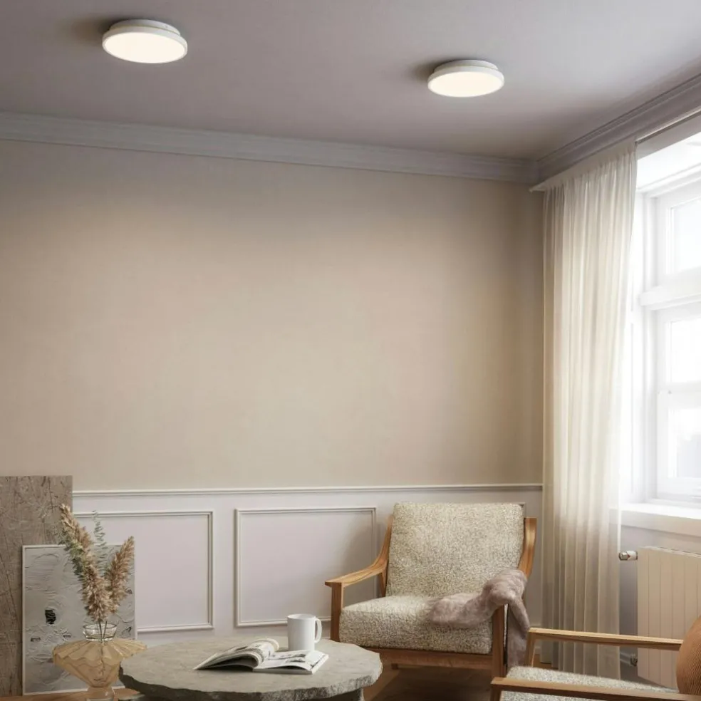 Plafon 20 Wall/Ceiling Lamp, Black / Brass