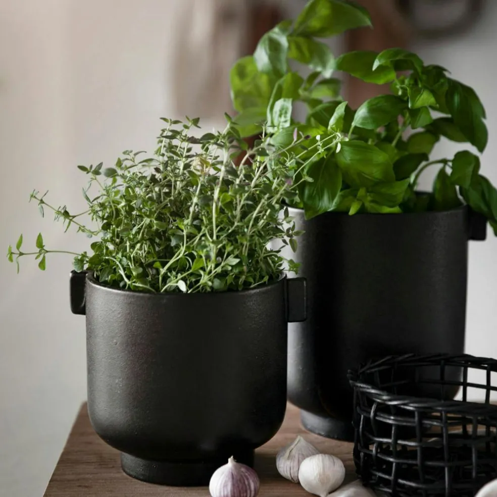 Pot With Ear H22.5 cm, Black