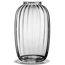 Primula Vase 25,5 cm, Clear