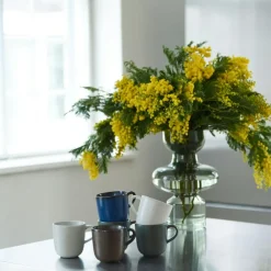 Raw Coffee Mug With Handle 20 cl, Arctic White