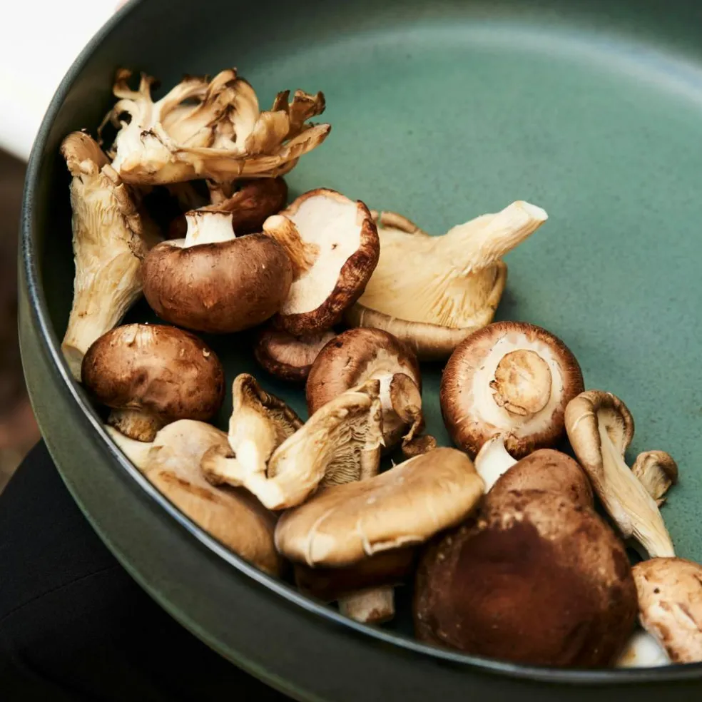 Raw Serving Bowl 30 cm, Northern Green