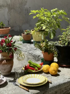 Riviera Dinner Plate 26 cm, Pink