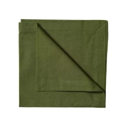 Robert Napkin 45x45 cm 4-pack, Light Ice Green