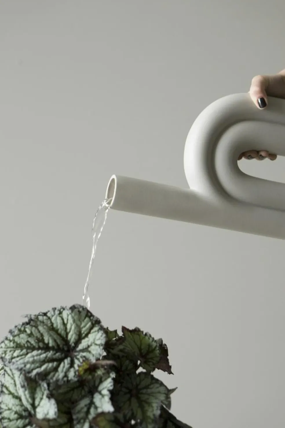 Rope Vas Sandy Mole, Large