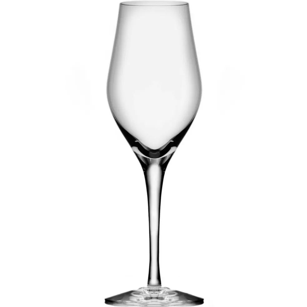 Sense Champagne Glass Set of 6