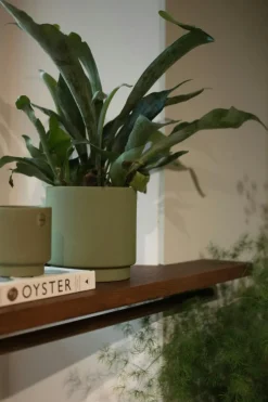 Solid Pot 10 cm, Green