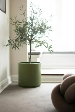 Solid Pot 10 cm, Green