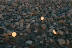 Sphere Adventure Light Table Lamp Portable, Dark Bronze