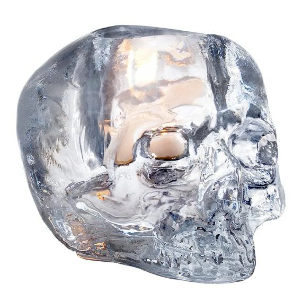 Still Life Candle Holder Skull