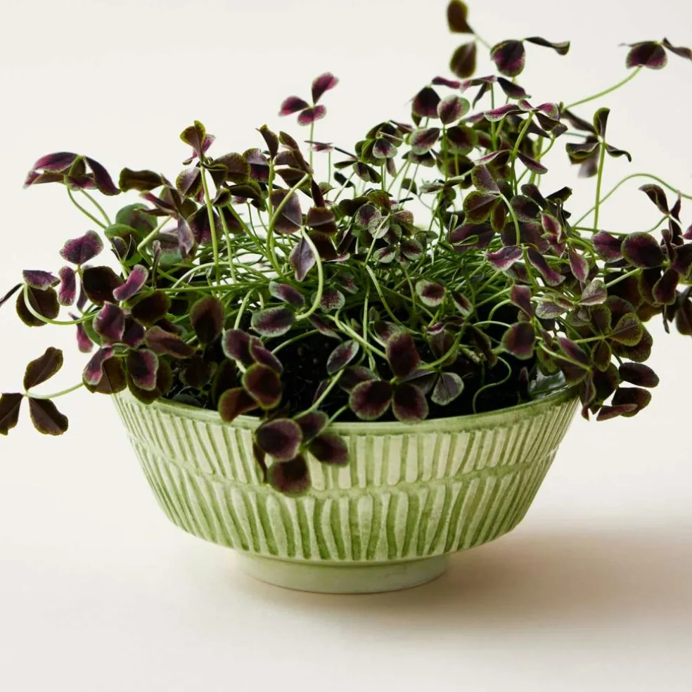 Stripes Bowl 50 cl, Blue