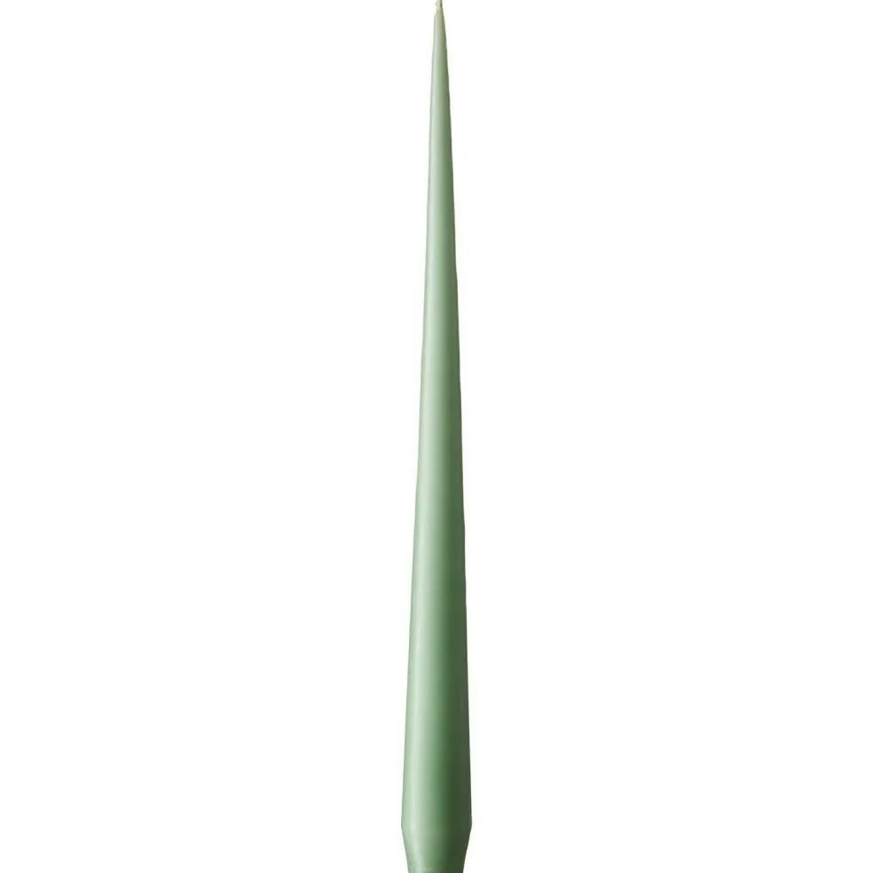 Taper Candles Lacquered 32 cm 12-pack, Eucalytus