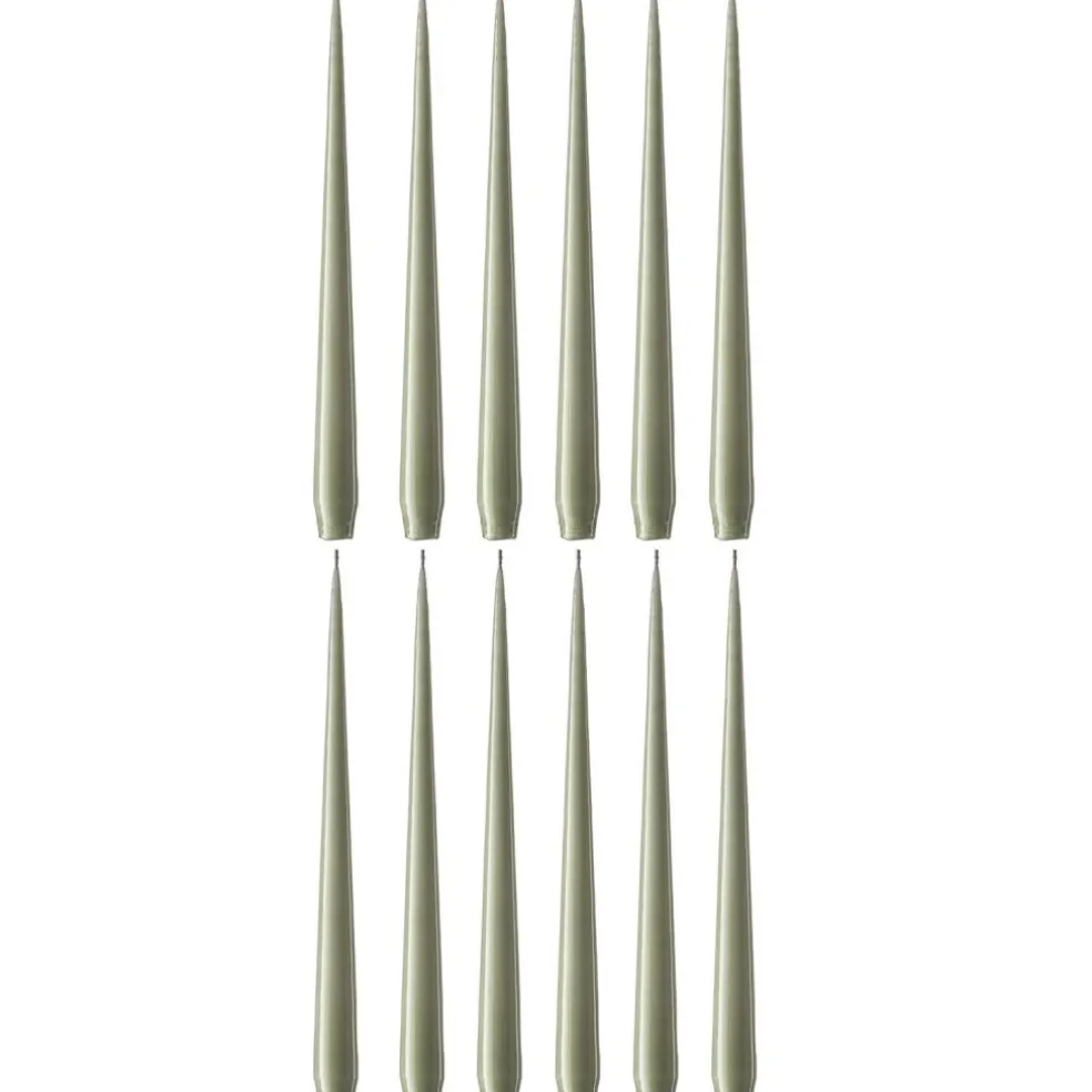 Taper Candles Lacquered 32 cm 12-pack, Eucalytus