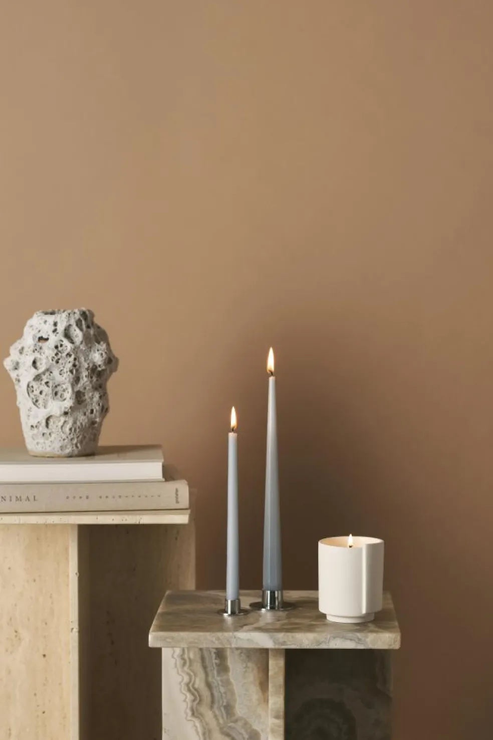 Taper Candles Lacquered 32 cm 12-pack, Eucalytus