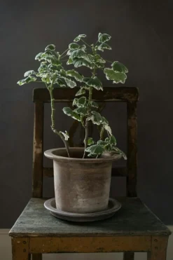 Terracotta Pot With Saucer Ø18 cm