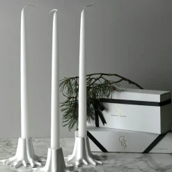 The Root Candle Holder, Solid Brass