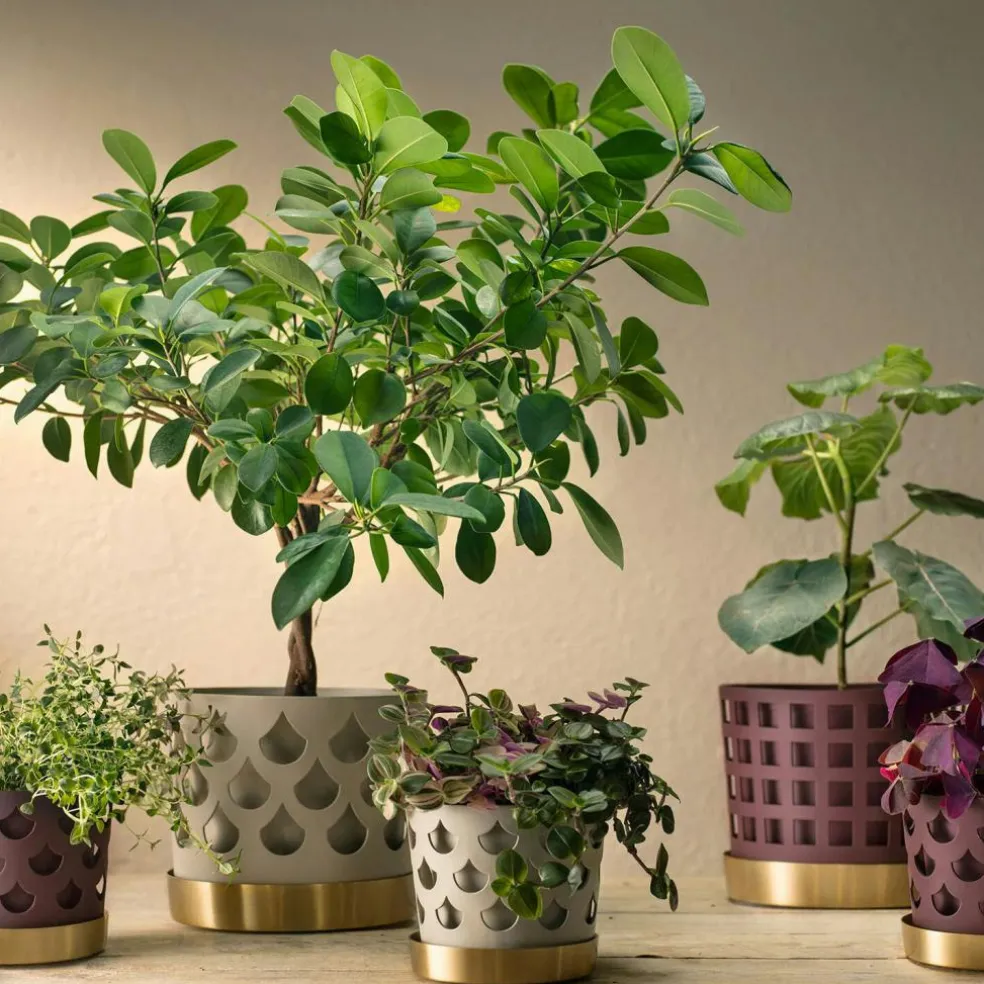 Trio Square Pot Beige, 18 cm / Medium