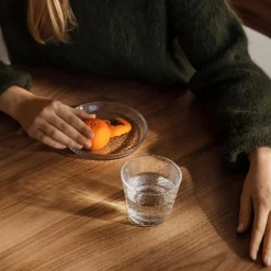 Tundra Glass 29 cl 2-pack, Clear