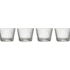 Tundra Glass 4-pack 16 cl, Clear