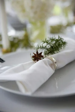 Vasa Napkin Rings 4-pack, Silver