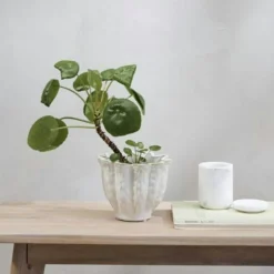 Vielle Pot H16 cm, Green