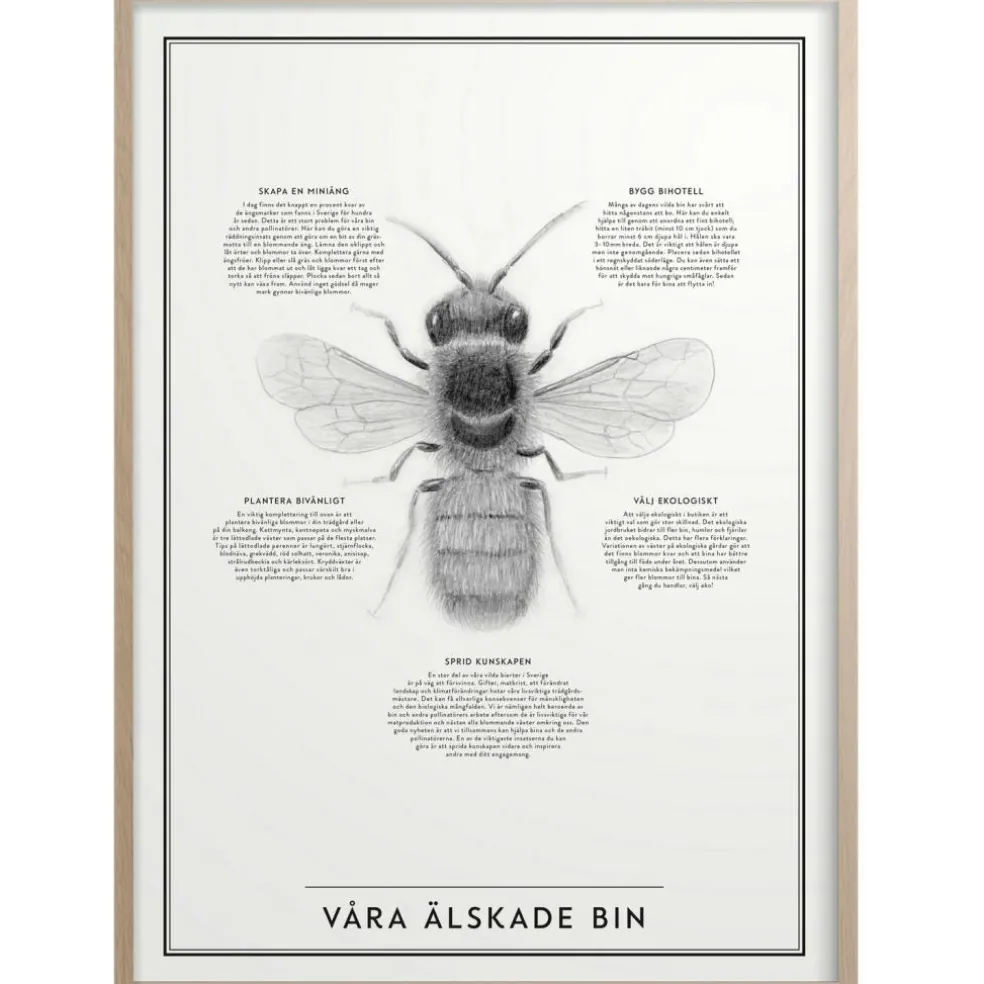 Våra Älskade Bin Poster 50x70 cm